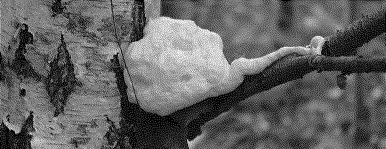 A dithered image of a spray foam blob in the crook of a tree