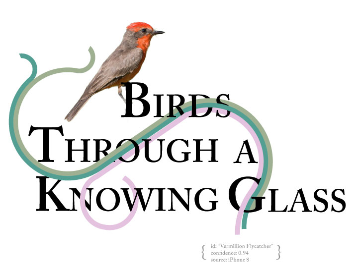 A dithered image of a bird with graphical curved lines and his Id